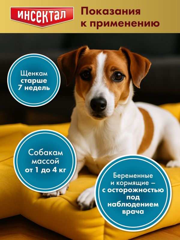 Капли на холку от клещей, блох и гельминтов для собак от 1-4 кг Инсектал комбо С (Neoterica), 3 пипетки Фипронил/Моксидектин