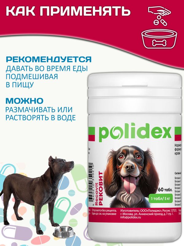 Polidex Recovit кормовая добавка для восстановления организма собак после укуса клеща, операций, травм, потерь крови Полидекс Рековит, 60 таб