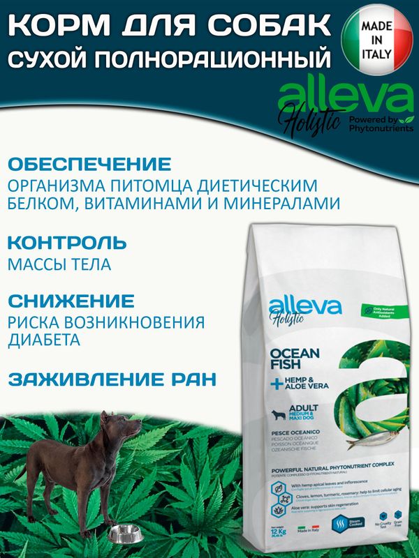 Корм Аллева Холистик Holistic Ocean Fish + Hemp & Aloe vera Medium/Maxi для взрослых собак средних и крупных пород, с океанической рыбой и алое вера,12кг