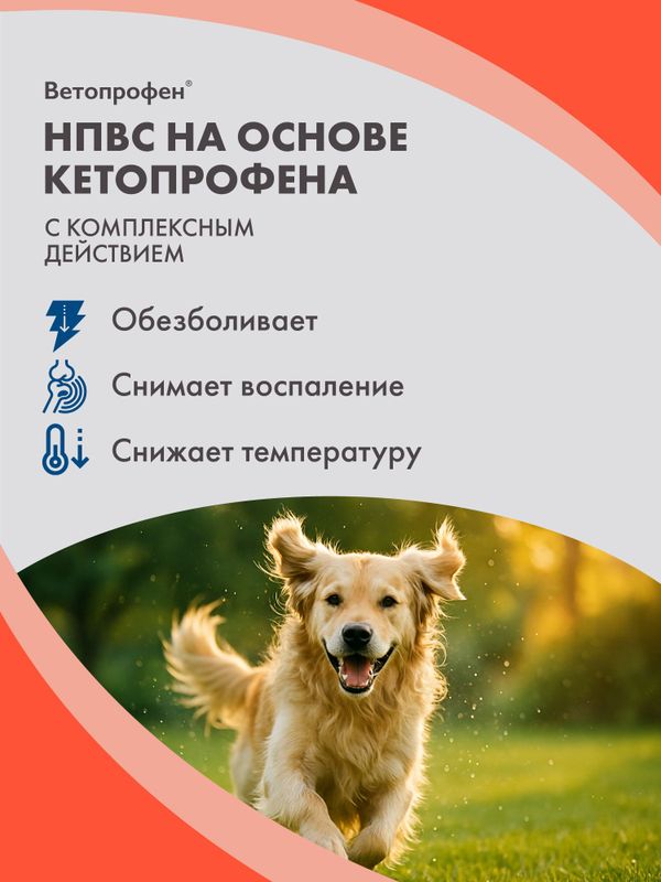 Ветопрофен нестероидный противовоспалительный препарат для средних и крупных собак на основе кетопрофена (Neoterica),10 таб Кетопрофен
