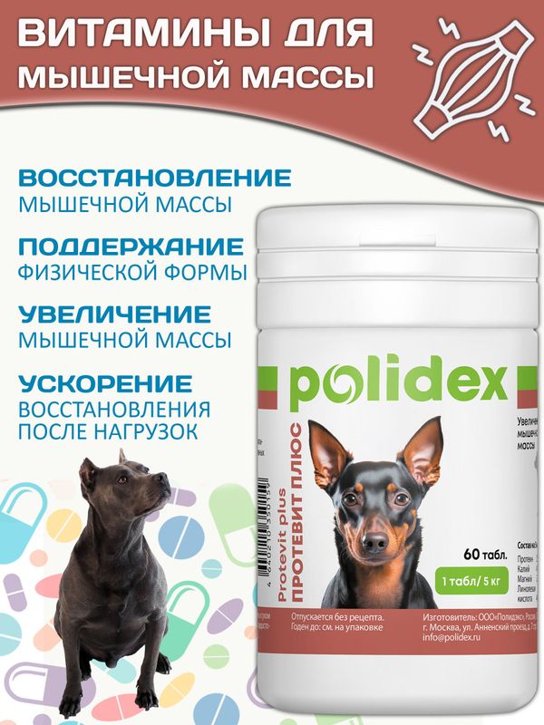 Polidex Protevit Plus для собак кормовая добавка для увеличения мышечной массы, Полидек Протевит Плюс, 60 таб