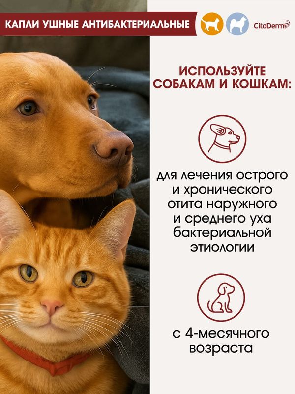 Капли ушные антибактериальные для лечения отитов бактериального происхождения, для кошек и собак CitoDerm (Neoterica)10 мл. Левофлоксацин/Дексаметазон