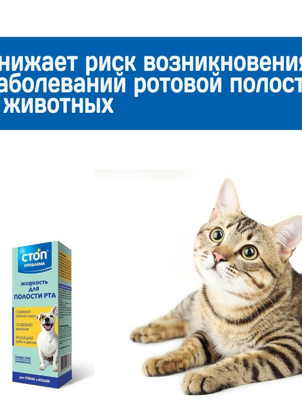 Жидкость для полости рта Стоп Проблема для собак и кошек, 100мл