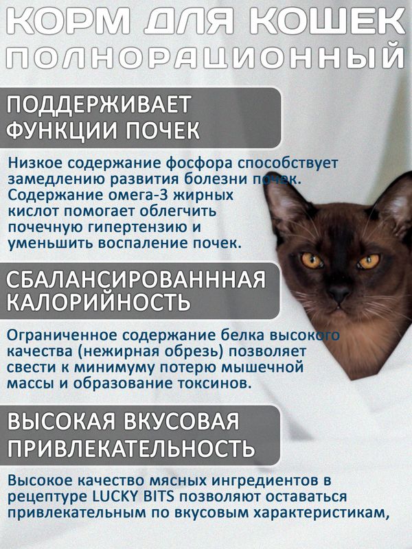 Lucky bits Renal 12 банок по 240г полнорационный консервированный диетический корм при хронической почечной недостаточности и ее осложнениях, у взрослых и стареющих кошек