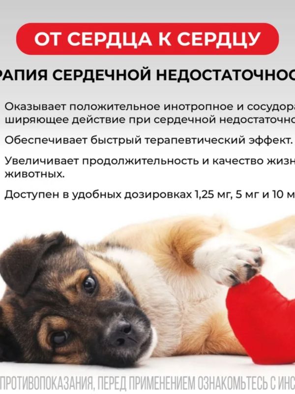 Таблетки для лечения сердечной недостаточности у собак Авекардит 1,25мг VIC, 28 таблеток Пимобендан