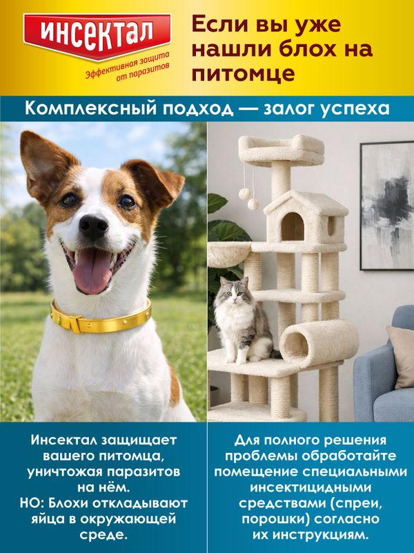 Капли на холку от клещей, блох и гельминтов для собак от 40-60 кг Инсектал комбо С (Neoterica), 3 пипетки Фипронил/Моксидектин