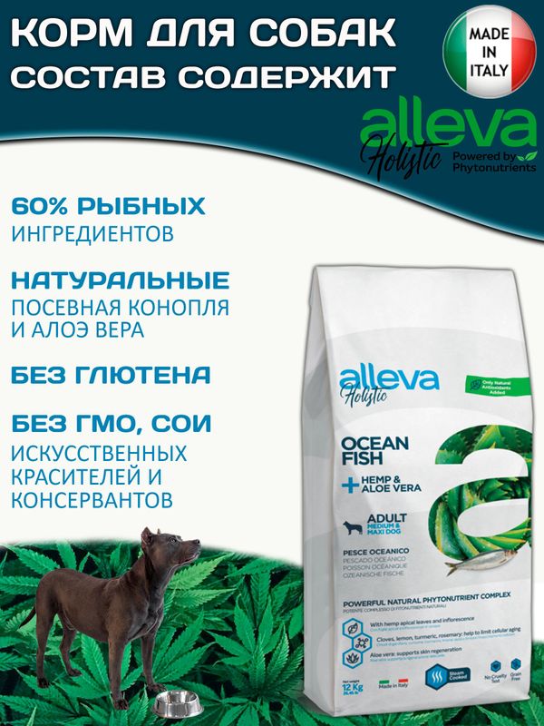 Корм Аллева Холистик Holistic Ocean Fish + Hemp & Aloe vera Medium/Maxi для взрослых собак средних и крупных пород, с океанической рыбой и алое вера,12кг