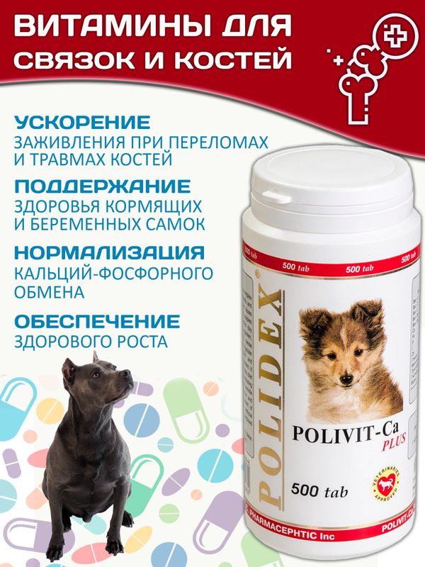 Кормовая добавка для профилактики нарушений обмена веществ, витаминной и минеральной недостаточности, укрепления костей и зубов у собак Polidex Поливит-Кальций плюс (Polidex),500т