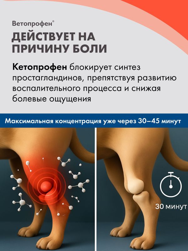 Ветопрофен нестероидный противовоспалительный препарат для средних и крупных собак на основе кетопрофена (Neoterica),10 таб Кетопрофен