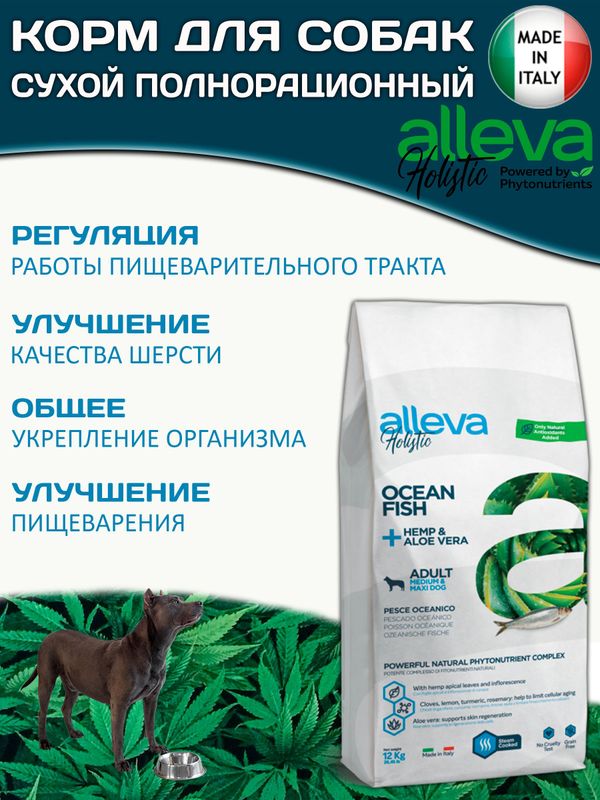 Корм Аллева Холистик Holistic Ocean Fish + Hemp & Aloe vera Medium/Maxi для взрослых собак средних и крупных пород, с океанической рыбой и алое вера,12кг