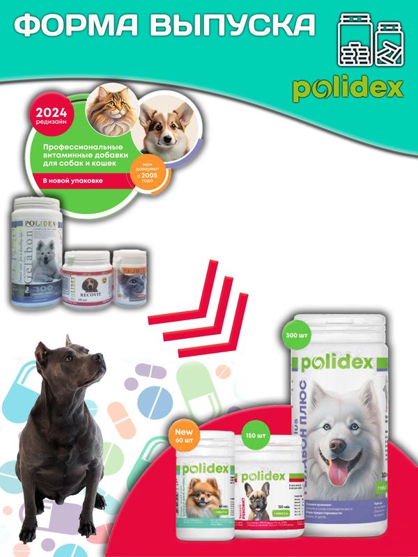 Polidex SuperWool Plus для собак кормовая добавка для улучшения состояния кожи, шерсти и когтей, а также для профилактики дерматитов у собак и щенков Полидекс Супер Вул плюс, 60таб