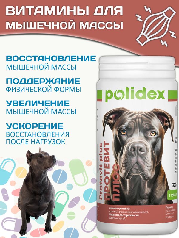Polidex Protevit Plus для собак Кормовая добавка для увеличения мышечной массы Полидек Протевит Плюс, 300 таб
