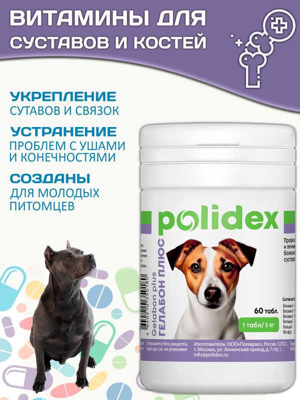Polidex Gelabon Plus кормовая добавка для собак и щенков Профилактика заболеваний опорно-двигательного аппарата Полидекс Гелабон Плюс, 60таб