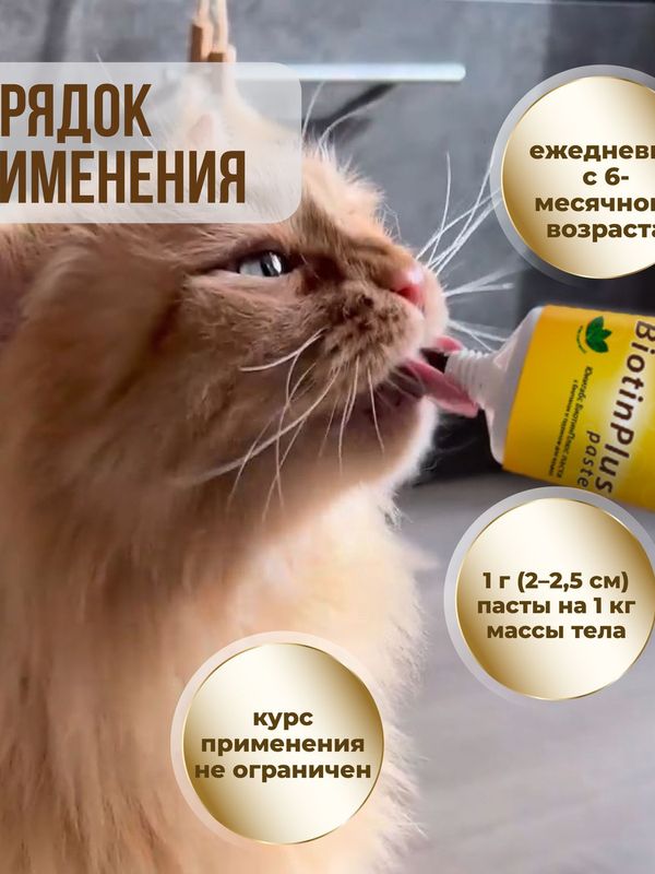 Витамины для кошек паста Unitabs BiotinPlus для шерсти 120 мл