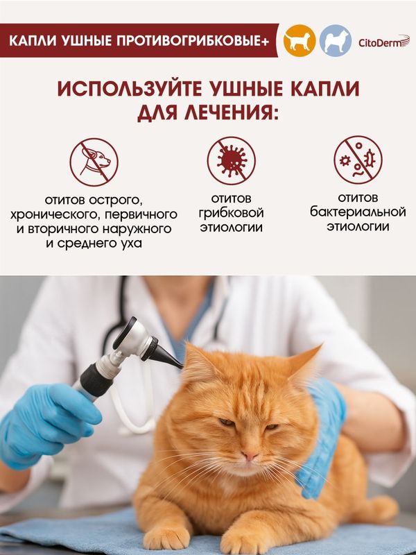 Капли ушные CitoDerm противогрибковые для кошек и собак 10 мл