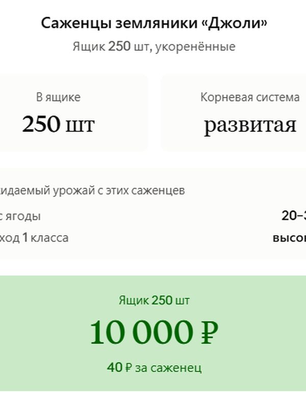 Саженцы Земляники "Джоли" — 250 шт