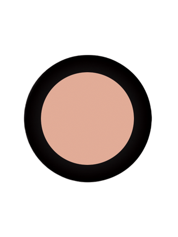 Сменные блоки Палитры Olive Beige 2 g