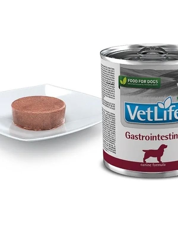 Лечебные консервы для собак FARMINA VET LIFE GASTROINTESTINAL для лечения заболеваний ЖКТ 300 г