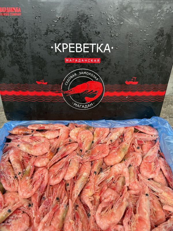 Магаданские креветки 50+
