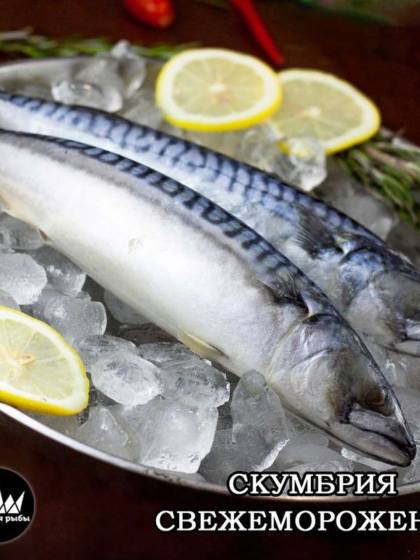 Скумбрия , 400-550гр