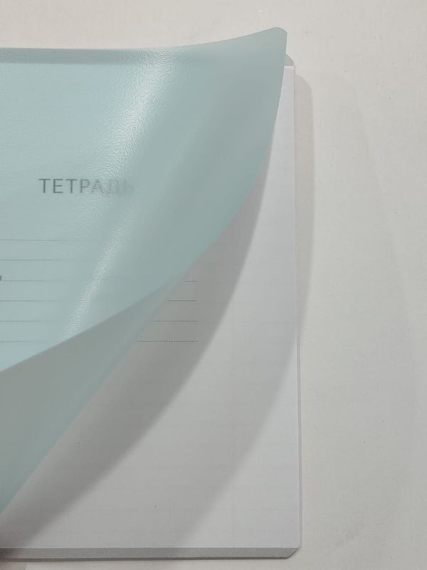 Тетради CoverPro 10шт, 18л в линию,с пластиковой обложкой Erich Krause кк 30915 (голубой)