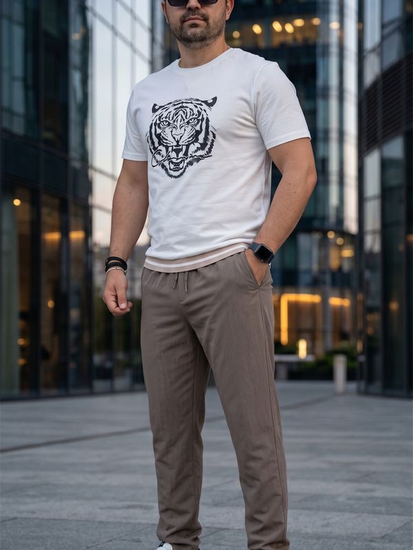 Футболка Lion