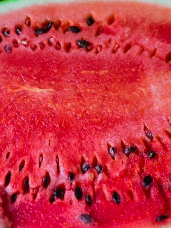 WHOLE Watermelon Uzbekistan