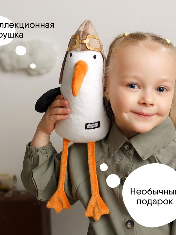 Чайка Летчик