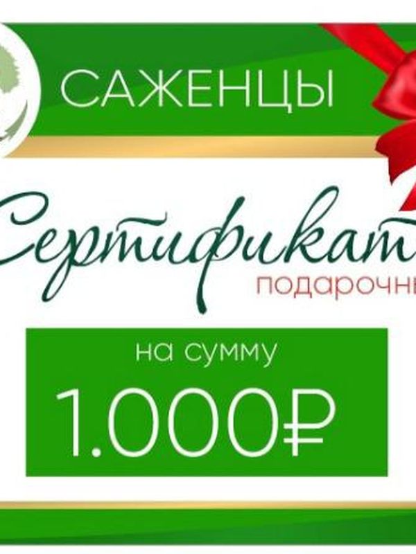 ПОДАРОЧНЫЕ  СЕРТИФИКАТЫ