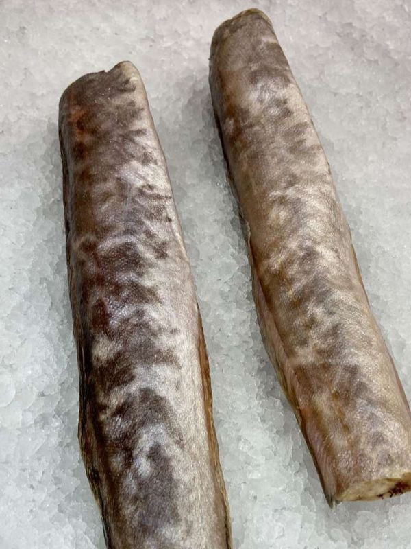 Конгрио