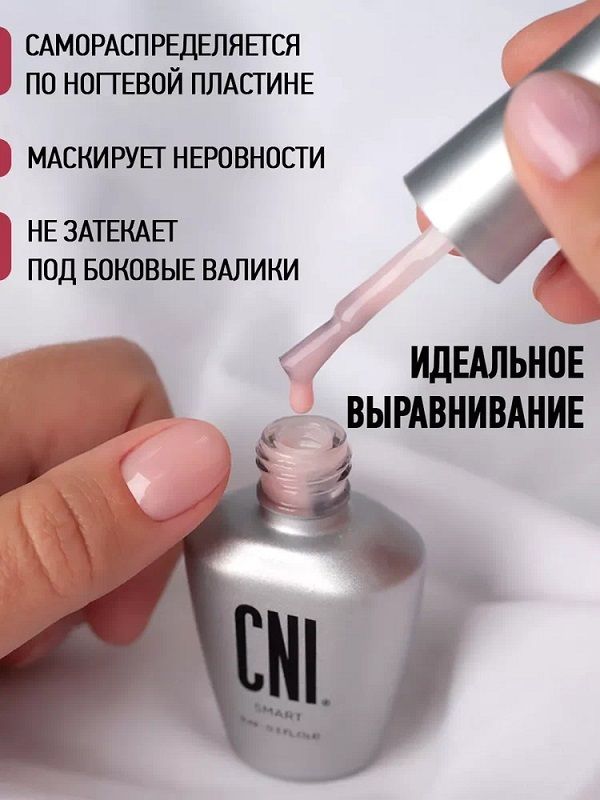 CNI SMART База
