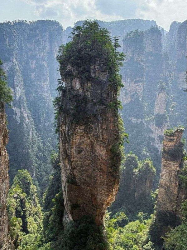 Чунцин + горы Аватара, 8 дней . (Китай)