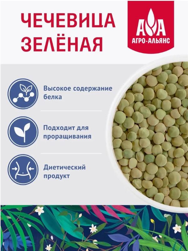 🟢Чечевица зеленая "АА Экстра-2" 450 гр 1/8, шт