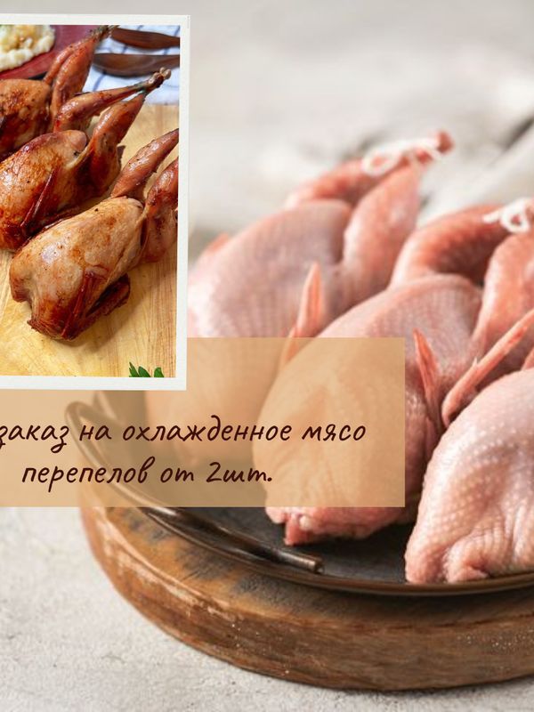 🆕Мясо перепелов (заморозка)