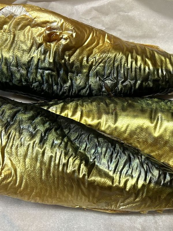 Скумбрия