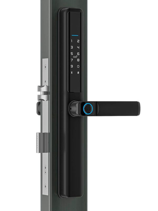 Дверной замок WIFI Ps-Link PS-F5-TY / черный