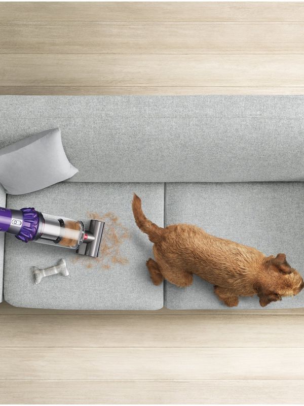 Dyson V10 ANIMAL 🐶