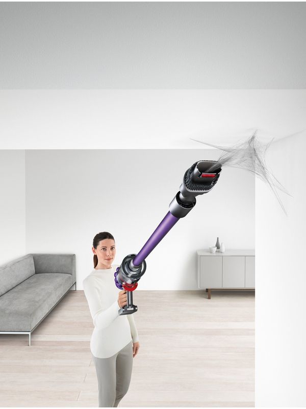 Dyson V10 ANIMAL 🐶