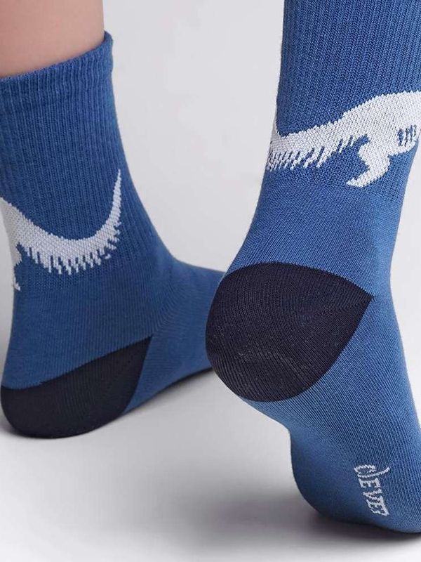 Носки детские CLEVER