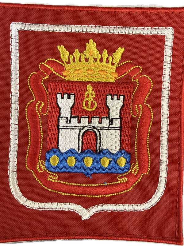 Шевроны Юнармия