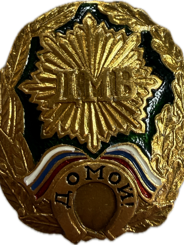 значки "ДМБ"