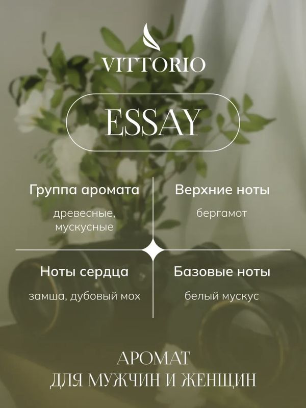 Essay