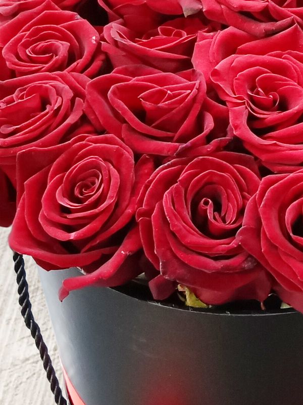 21 red roses in a black box