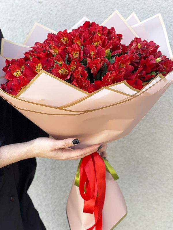 30 Red alstroemerias