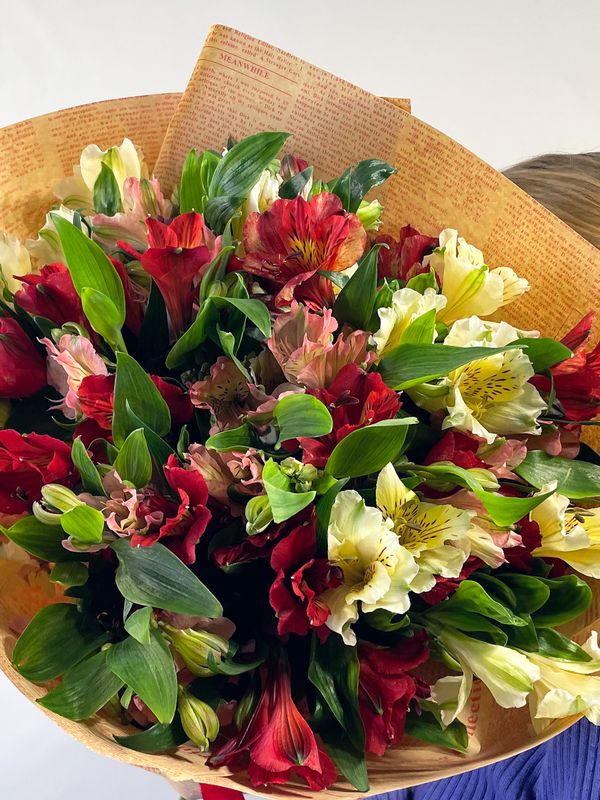 Alstroemeria in craft