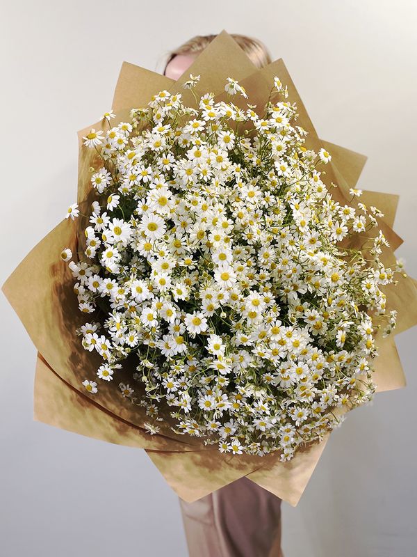 Sea of ​​daisies