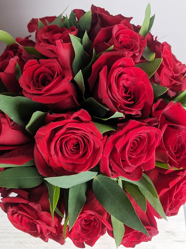 20 red roses in a box