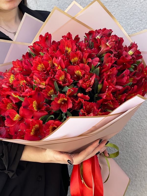30 Red alstroemerias
