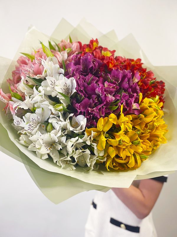 Alstroemeria mix