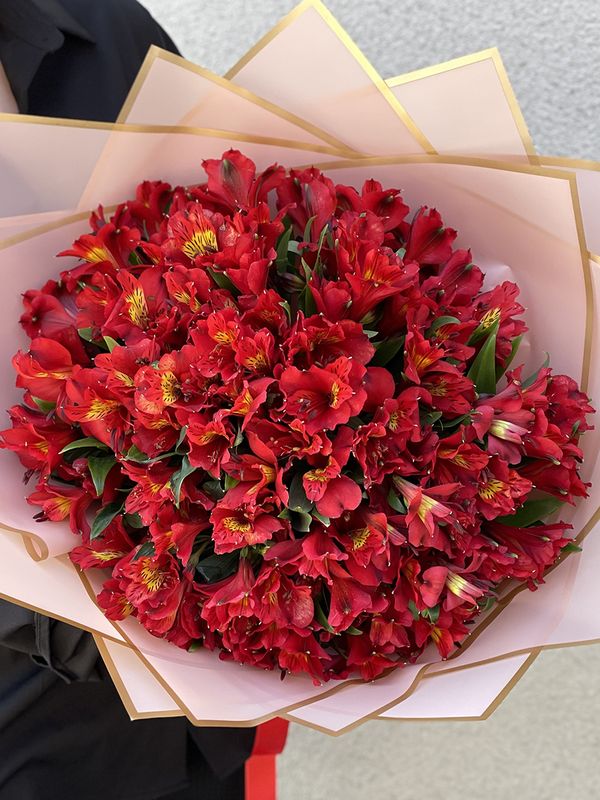 30 Red alstroemerias